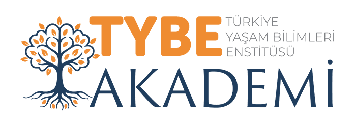 TYBE Akademi Logo